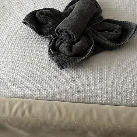 Aquavilla Bed & Breakfast Willebroek Dış mekan fotoğraf