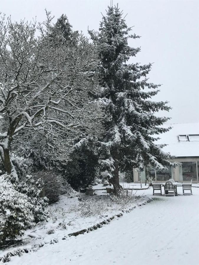 Aquavilla Bed & Breakfast Willebroek Dış mekan fotoğraf