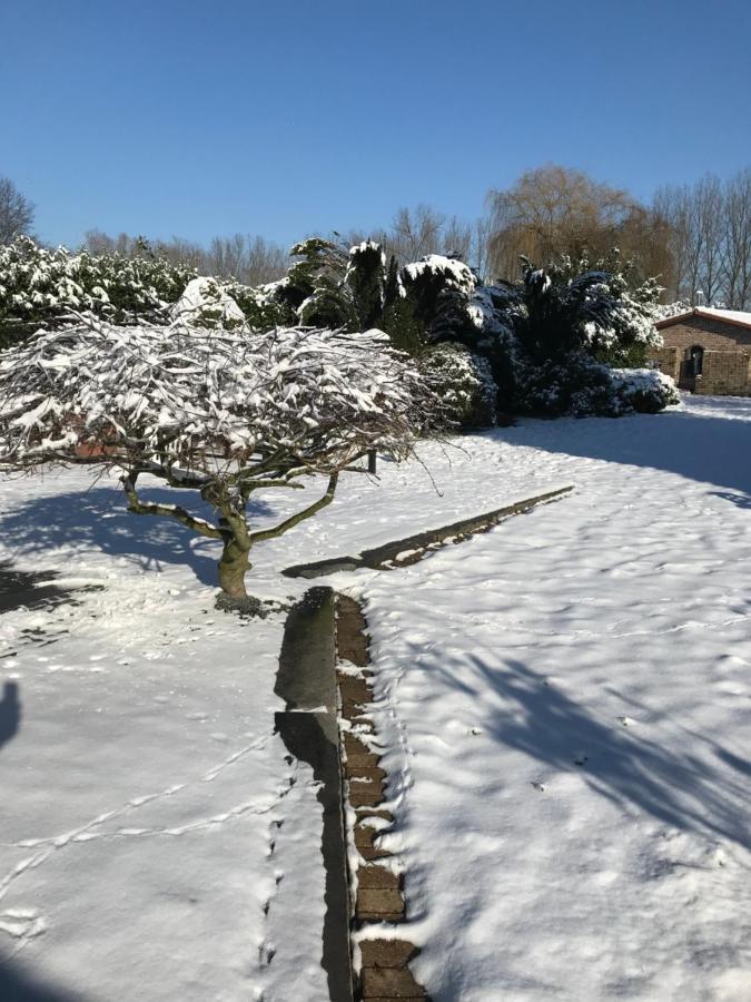 Aquavilla Bed & Breakfast Willebroek Dış mekan fotoğraf