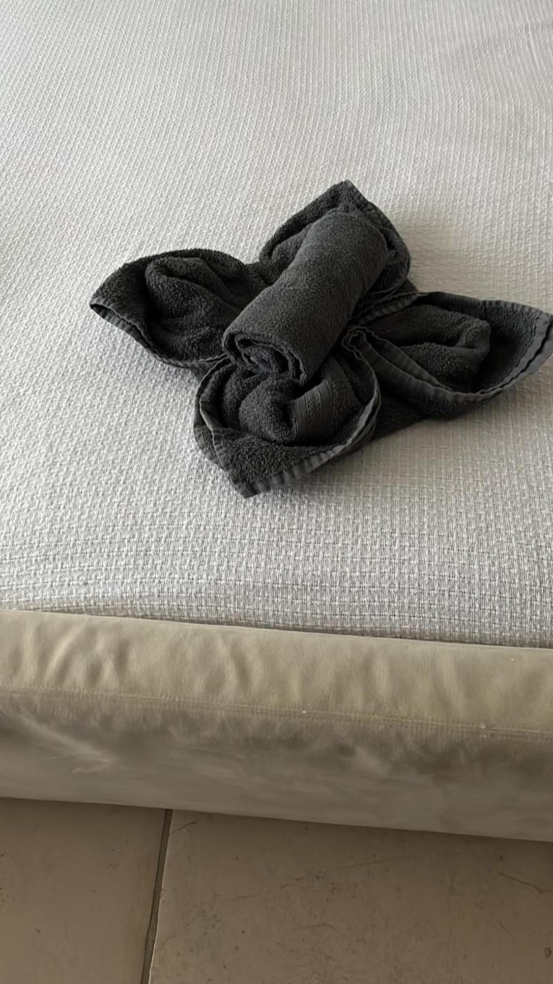 Aquavilla Bed & Breakfast Willebroek Dış mekan fotoğraf
